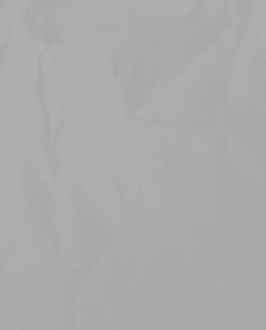 Би-2